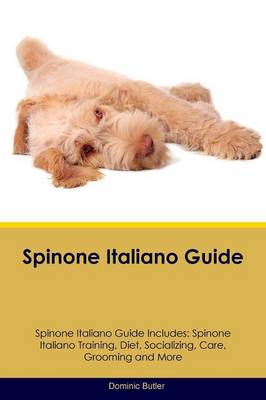 Spinone Italiano Guide Spinone Italiano Guide Includes: Spinone Italiano Training, Diet, Socializing, Care, Grooming, Breeding and More (Paperback)
