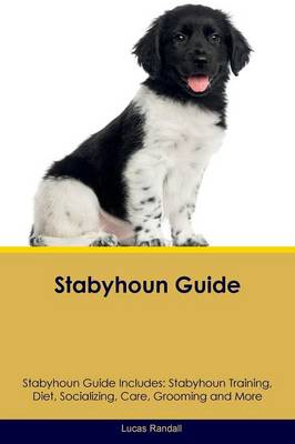 Stabyhoun Guide Stabyhoun Guide Includes: Stabyhoun Training, Diet, Socializing, Care, Grooming, Breeding and More (Paperback)