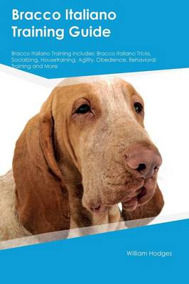 Bracco Italiano Training Guide Bracco Italiano Training Includes: Bracco Italiano Tricks, Socializing, Housetraining, Agility, Obedience, Behavioral Training and More (Paperback)