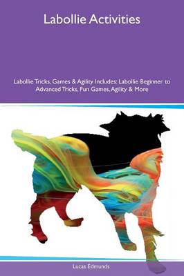 Labollie Activities Labollie Tricks, Games & Agility Includes: Labollie Beginner to Advanced Tricks, Fun Games, Agility & More (Paperback)