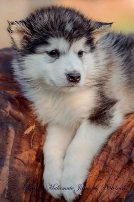 Alaskan Malamute January Notebook Alaskan Malamute Record, Log, Diary, Special Memories, To Do List, Academic Notepad, Scrapbook & More (Paperback)