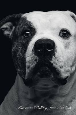 American Bulldog June Notebook American Bulldog Record, Log, Diary, Special Memories, To Do List, Academic Notepad, Scrapbook & More (Paperback)