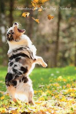 Australian Shepherd May Notebook Australian Shepherd Record, Log, Diary, Special Memories, To Do List, Academic Notepad, Scrapbook & More (Paperback)