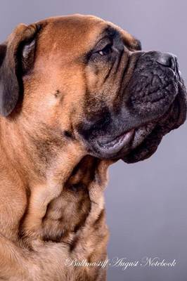 Connolly bullmastiffs hot sale