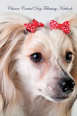 Chinese Crested Dog February Notebook Chinese Crested Dog Record, Log, Diary, Special Memories, To Do List, Academic Notepad, Scrapbook & More (Paperback)