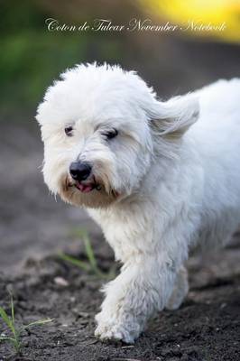Coton de Tulear November Notebook Coton de Tulear Record, Log, Diary, Special Memories, To Do List, Academic Notepad, Scrapbook & More (Paperback)