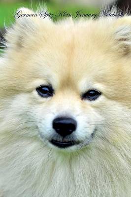 German Spitz Klein January Notebook German Spitz Klein Record, Log, Diary, Special Memories, To Do List, Academic Notepad, Scrapbook & More (Paperback)