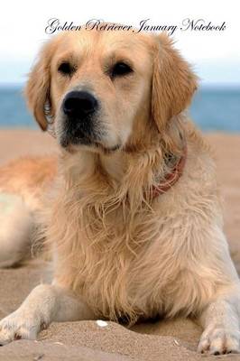 Golden Retriever January Notebook Golden Retriever Record, Log, Diary, Special Memories, To Do List, Academic Notepad, Scrapbook & More (Paperback)