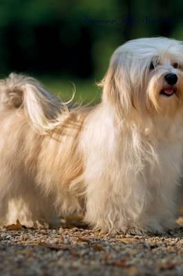 Havanese July Notebook Havanese Record, Log, Diary, Special Memories, To Do List, Academic Notepad, Scrapbook & More (Paperback)