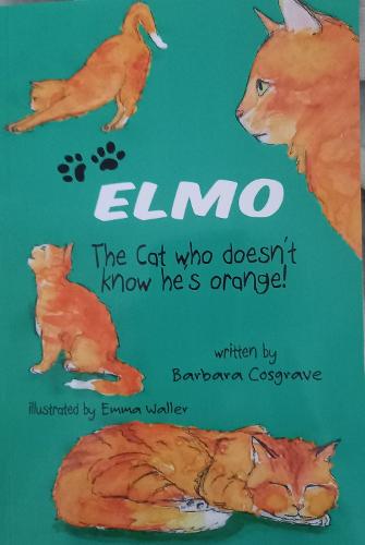 Elmo the Cat Who Doesn't Know He's Orange - Elmo the Cat 1 (Paperback)