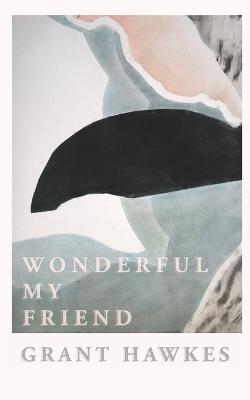 Wonderful My Friend (Paperback)
