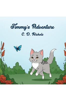 Timmy's Adventure (Paperback)