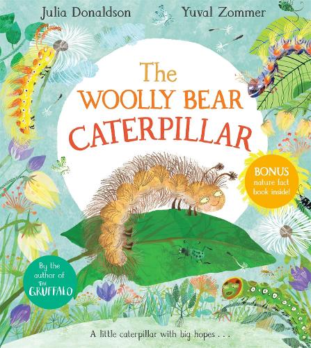 The Woolly Bear Caterpillar (Paperback)