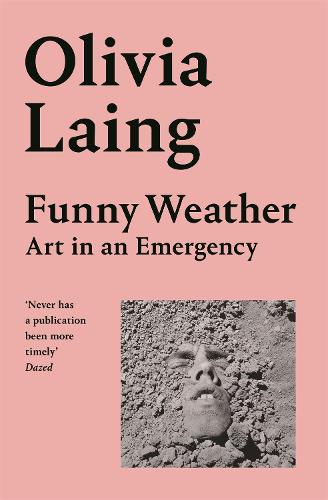 Funny Weather: Art in an Emergency (Paperback)