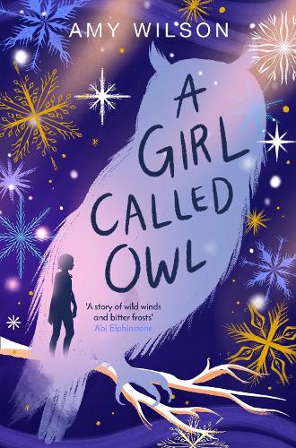 A Girl Called Owl By Amy Wilson Waterstones