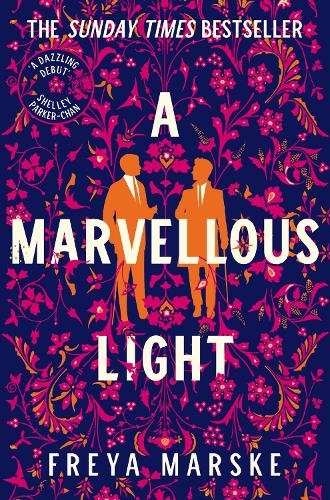 Cover of A Marvellous Light
