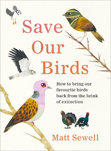 Save Our Birds: How to bring our favourite birds back from the brink of extinction (Hardback)