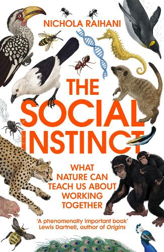 Nichola Raihani The Social Instinct