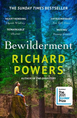 Cover of the book Bewilderment