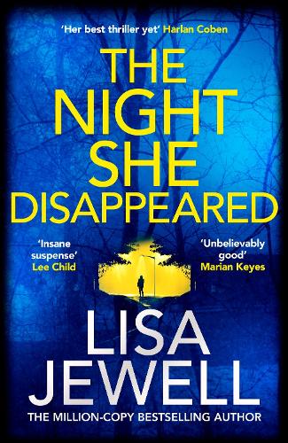 synopsis of the night she disappeared a novel