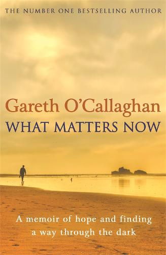 What Matters Now: A Memoir of Hope and Finding a Way Through the Dark (Paperback)