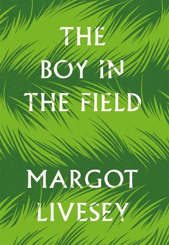 The Boy in the Field (Hardback)
