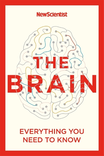 The Brain: Everything You Need to Know (Paperback)