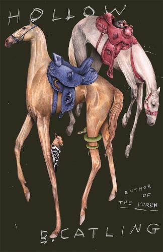 Hollow (Hardback)