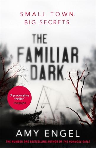 Book cover of The Familiar Dark