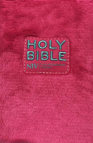 NIV Pocket Sequin Bible (Paperback)
