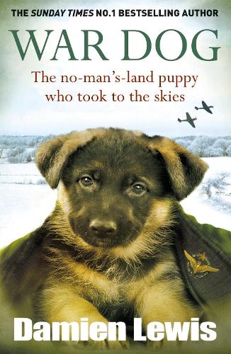 War Dog: The no-man's-land puppy who took to the skies (Paperback)