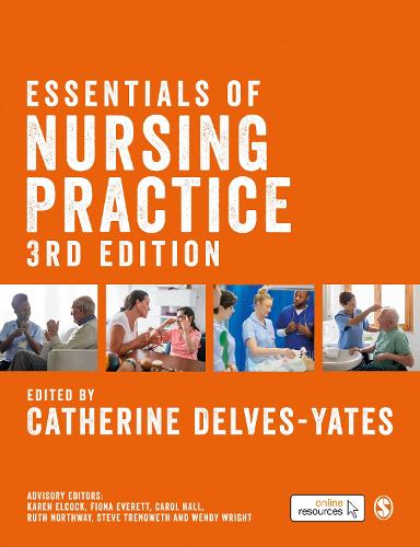 Essentials of Nursing Practice (Paperback)