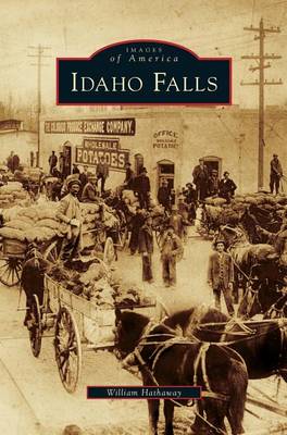 Idaho Falls (Hardback)