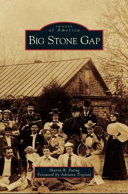 Big Stone Gap (Hardback)