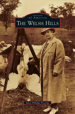 Welsh Hills (Hardback)