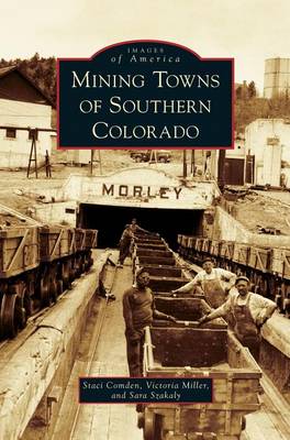 Mining Towns of Southern Colorado (Hardback)