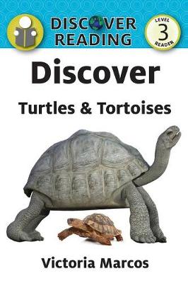 Discover Turtles & Tortoises (Paperback)