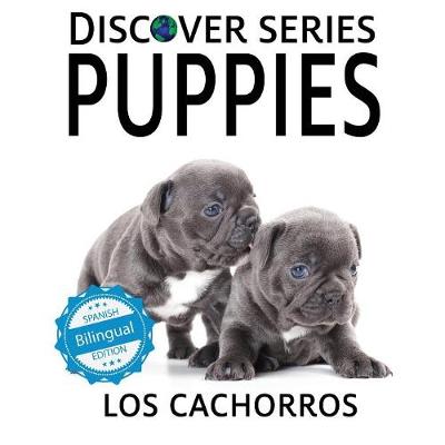 Puppies / Los Cachorros (Paperback)