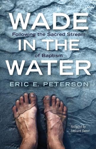 Wade in the Water (Paperback)