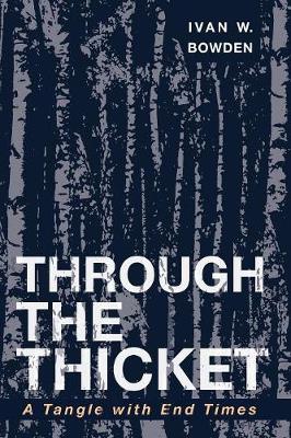 Through the Thicket (Paperback)