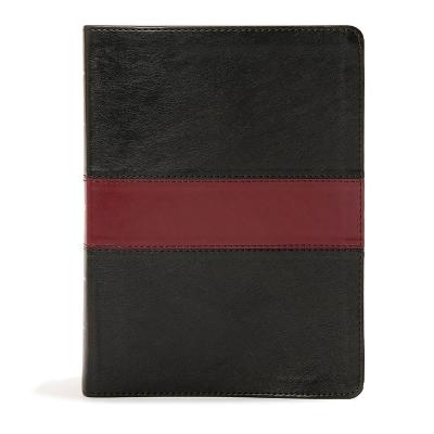 KJV Apologetics Study Bible, Black/Red Leathertouch Indexed (Leather / fine binding)