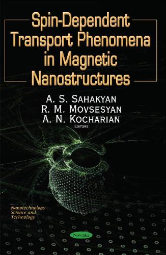 Spin S=1/2 Dependent Phenomena of Fermions in Magnetic Nanostructures & Nanoelements (Paperback)