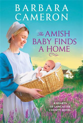 The Amish Baby Finds a Home (Paperback)
