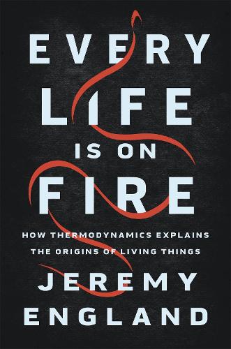 Every Life Is On Fire: How Thermodynamics Explains the Origins of Living Things (Hardback)
