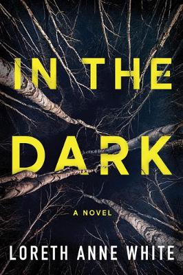 In the Dark (Paperback)