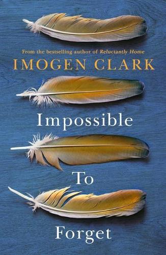 Impossible To Forget (Paperback)