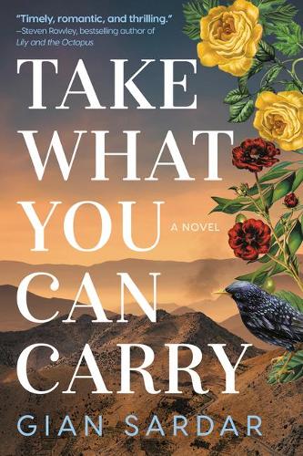 Take What You Can Carry: A Novel (Hardback)