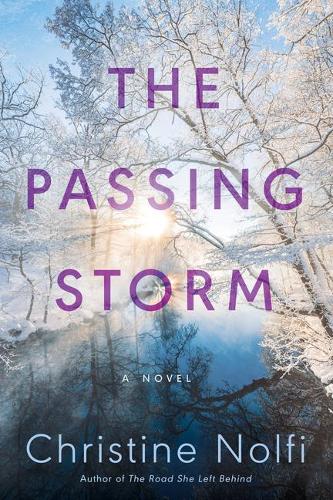 The Passing Storm: A Novel (Paperback)
