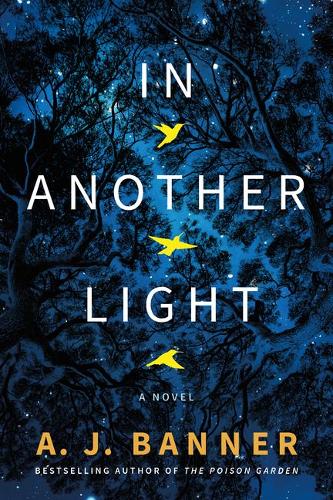 In Another Light: A Novel (Paperback)