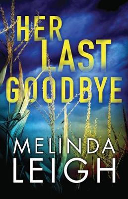 Her Last Goodbye - Morgan Dane 2 (Paperback)